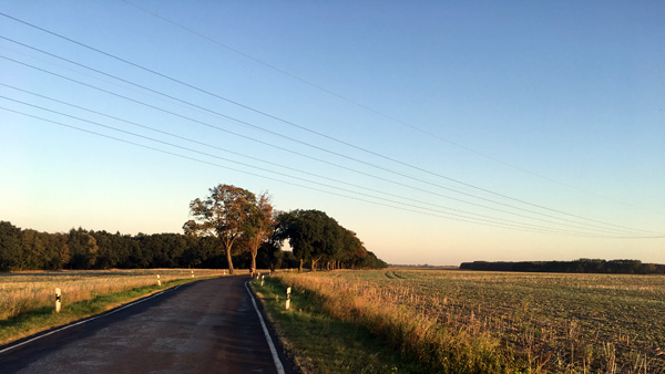 Straße nach Seefeld im Sonnenuntergang auf der Radtour Pankow - Börnicke - Seefeld